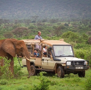 Jeep safari